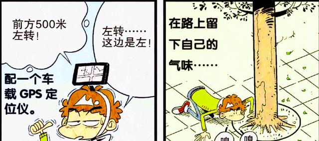 路痴|为了摆脱“路痴大王”的称号，小衰绞尽脑汁，认路真有这么难？