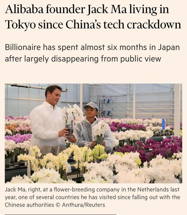 数字化转型|马云定居东京，孙正义提供别墅：这缘分，来自于23年前的两次见面