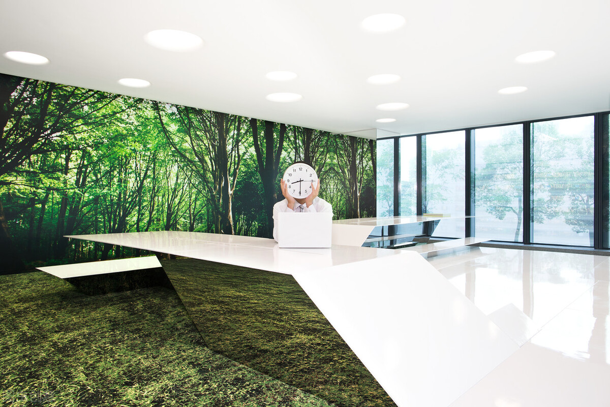 应届生|应届生如何建立自己的职业经验