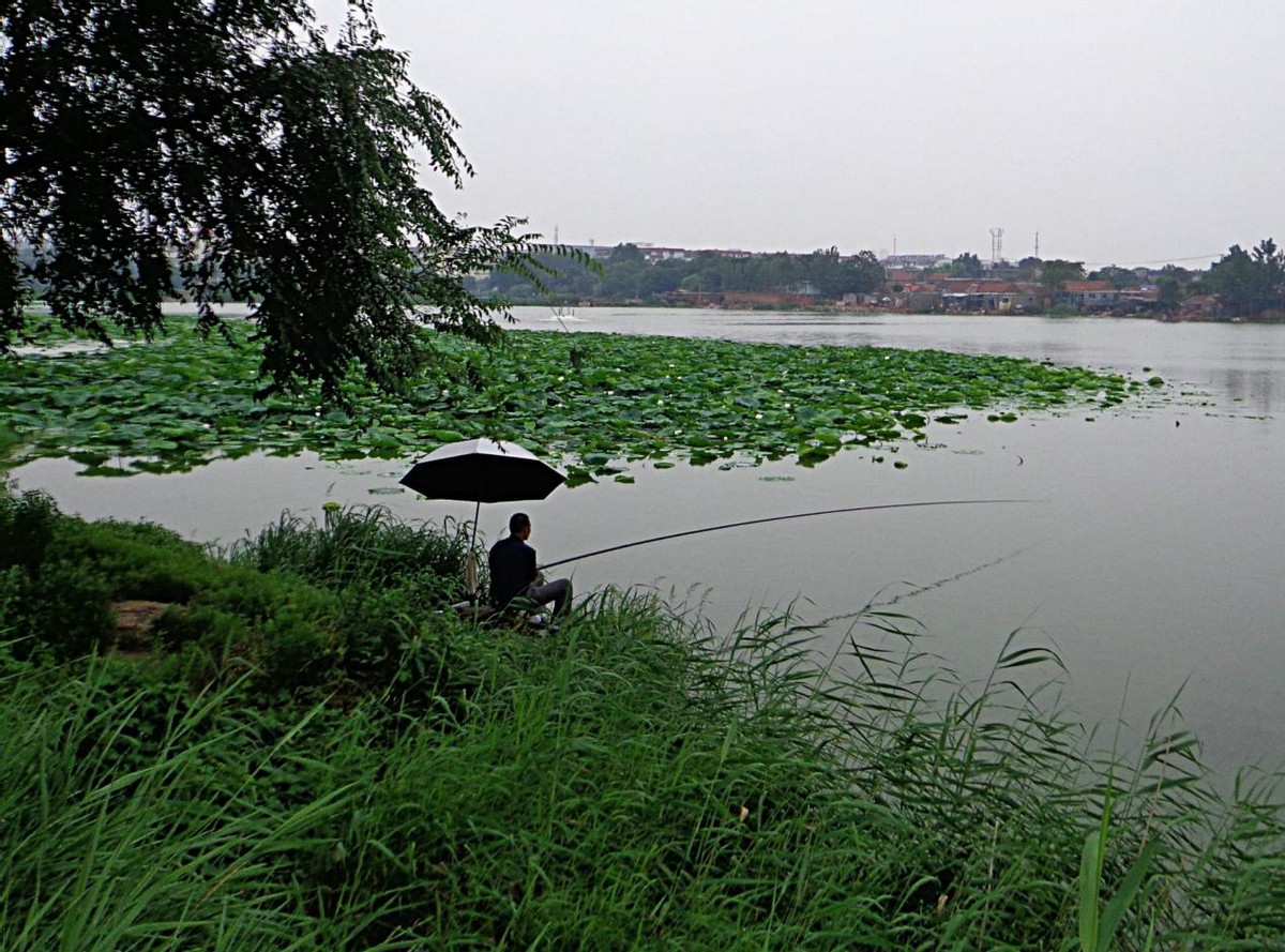 |春钓想要爆护连杆,不妨试试这5个天然“鱼窝”