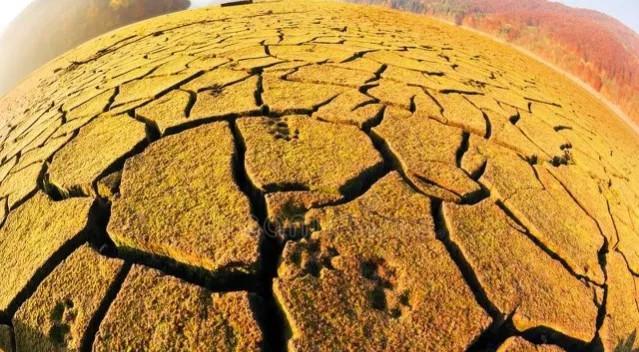 为什么地球无法出现永生的物种?最近接永生的物种是什么?