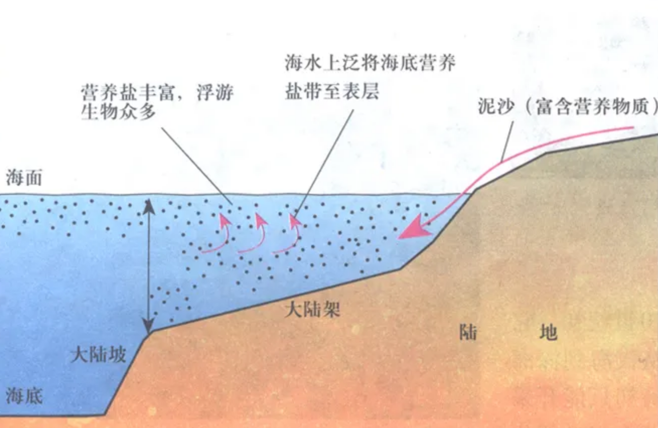 全球沙子不够用了:中国1年要用掉200亿吨,该怎么办呢?