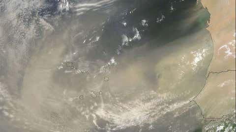 亚马逊雨林无法脱离撒哈拉沙漠而存在
