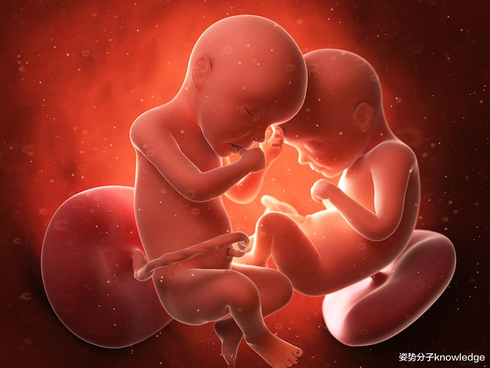 人类封神了?无精子无卵子培育胚胎,真能无中生有创造生命?