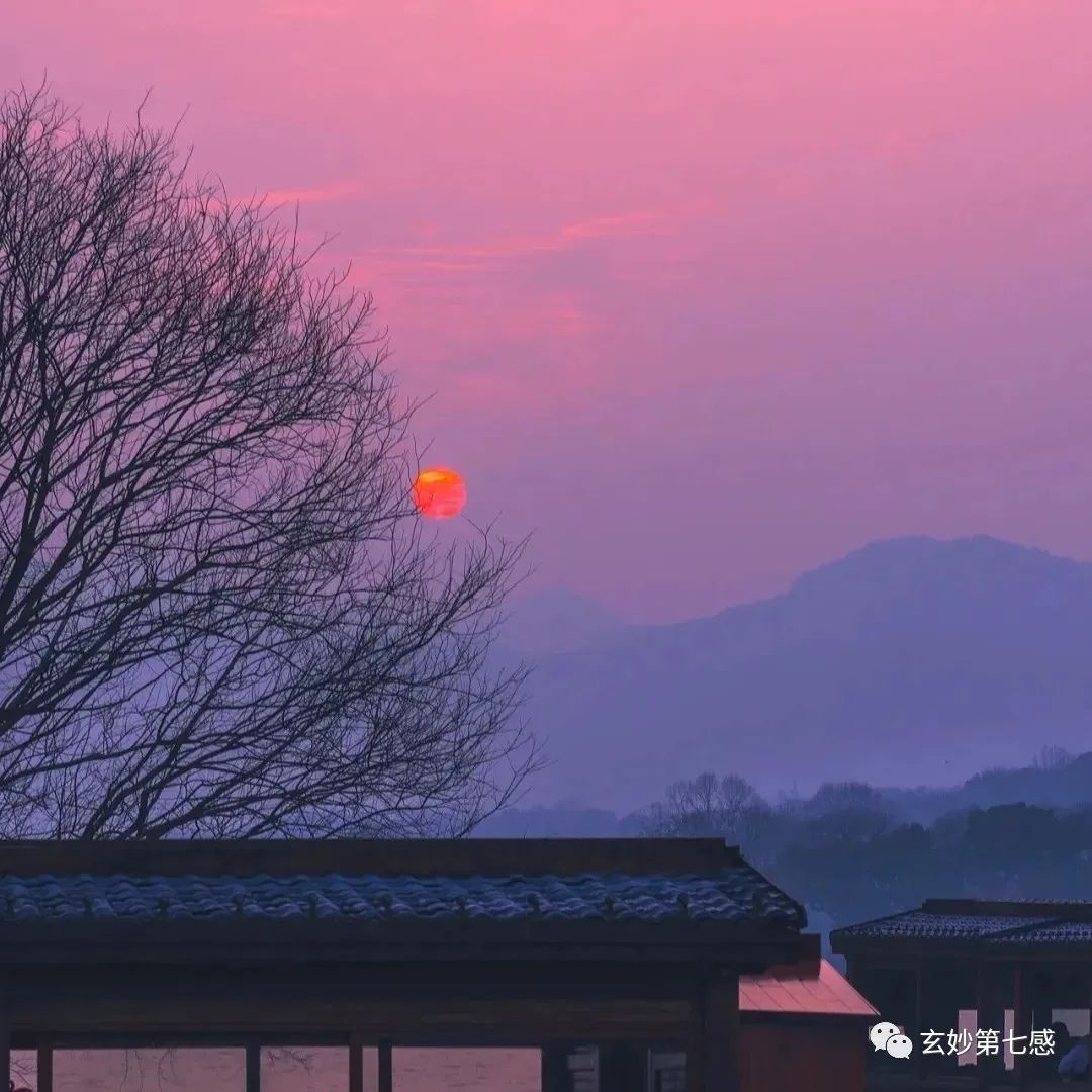 生肖|梦会告诉你答案