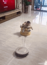 望父成龙|“用四个字表达一下你现在的生活”望父成龙