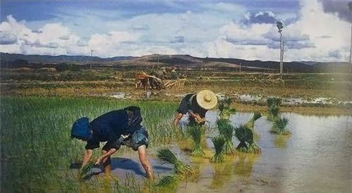 运动|中国133岁长寿之王龚来发,一生未婚无子女,生前一爱好并不健康