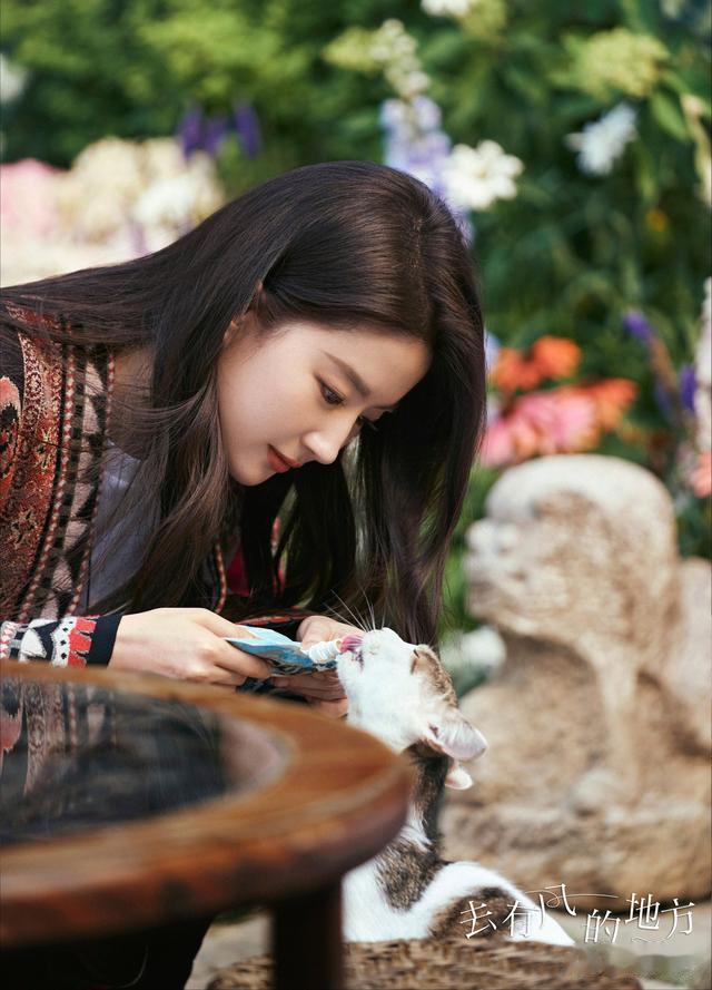 |开年正在热播的8部爆款新剧,每部都看点十足,让你春节告别剧荒