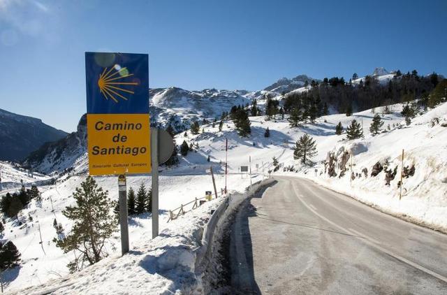 |这条路上的行人,为什么都要带着一个贝壳?