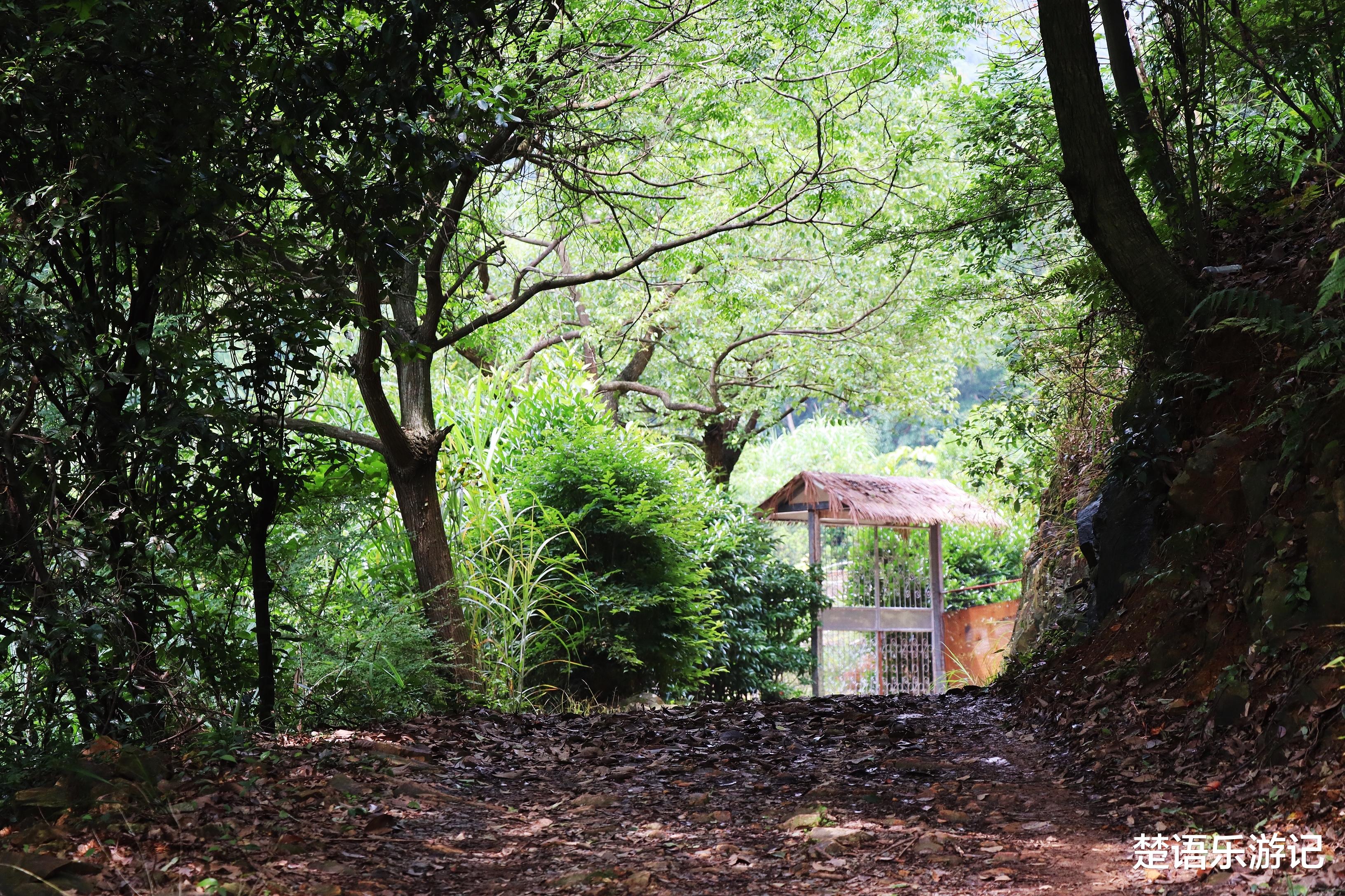 |浙江宁波居然有一个民族村，背山面海清溪流淌，两条古道险峻优美