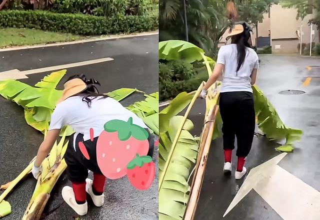 马苏|演员马苏晒近况，被隔离在妈妈家，素颜出镜砍芭蕉树引热议