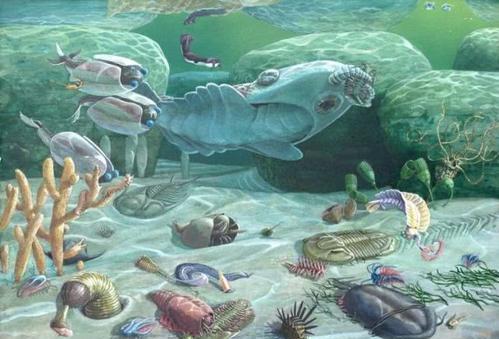 谁是地球的大恩人?寒武纪生物大爆发,真的是生命自己的杰作?