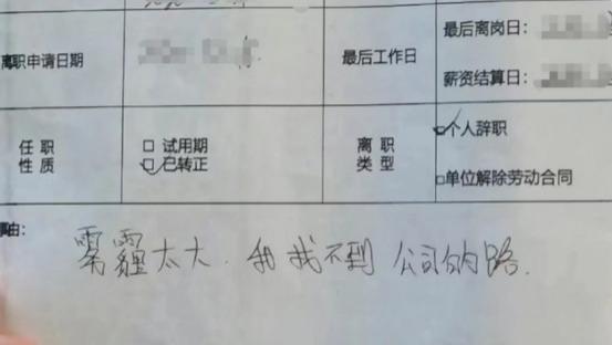 00后|00后大学生辞职信走红，“想画饼，不可能”，连面子话都省了