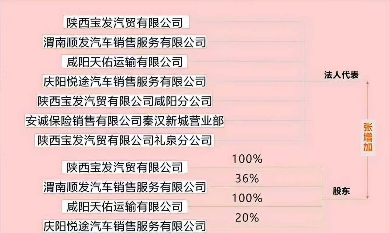 从千亿富翁到街头泥瓦工,宝发集团董事长张增加到底这些年经历了什么?
