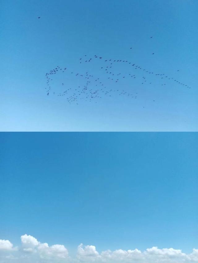 |【作钓报告】2022钓鱼之路已走完,2023开拓新的天地解锁新鱼种