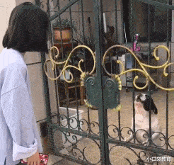 王思聪|王思聪与女友宅家过日子！家中一双鞋要235W，豪宅内景曝光