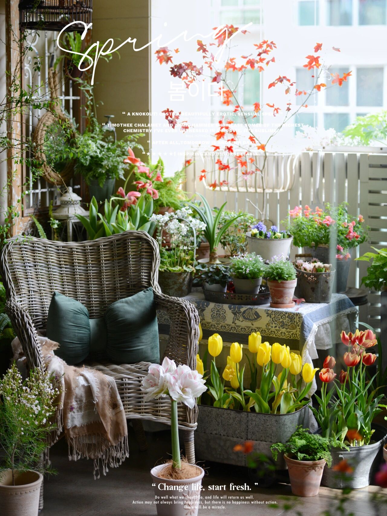 没有大院子,14㎡方寸阳台也能打造“四季小花园”,被美到了