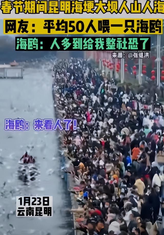|7天猛赚3700亿！憋疯的中国游客，究竟救活了多少景区？