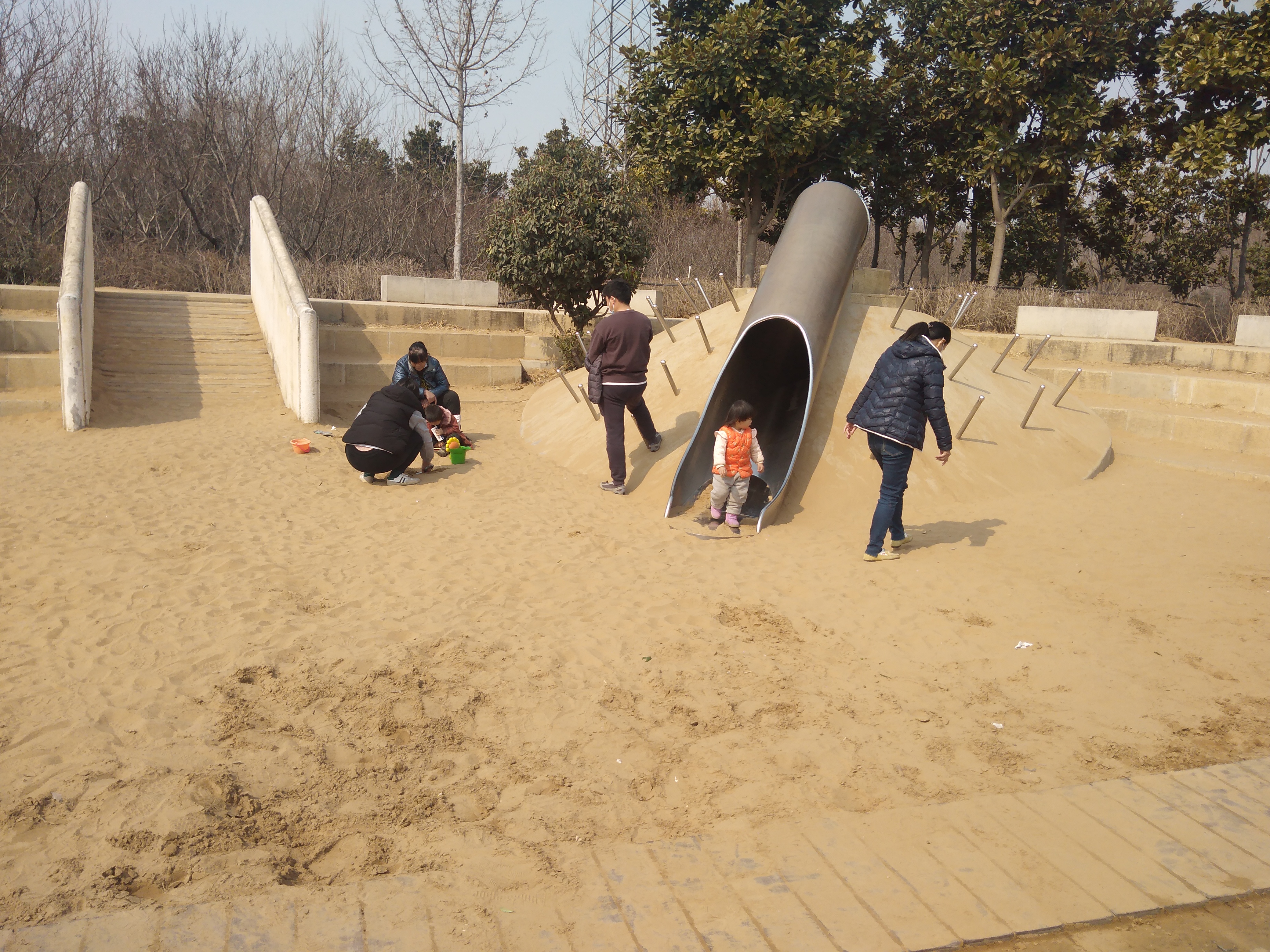 水稻|郑州雕塑公园开放了，看了让人心酸