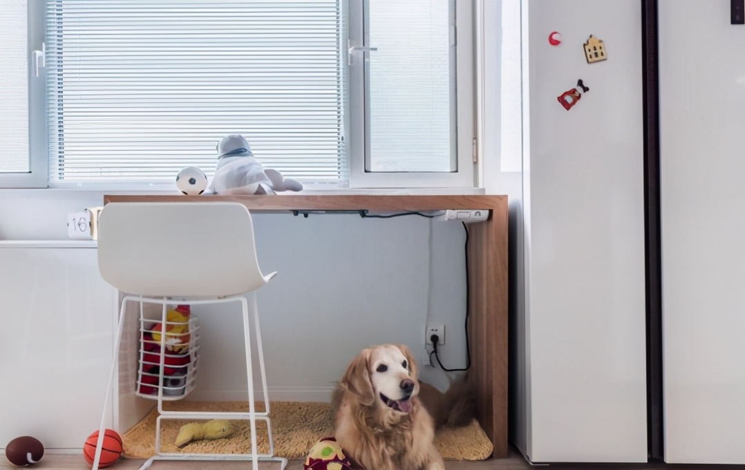 38平米的小家,客厅餐厅衣帽间卧室一个不少,一人一汪住超舒服