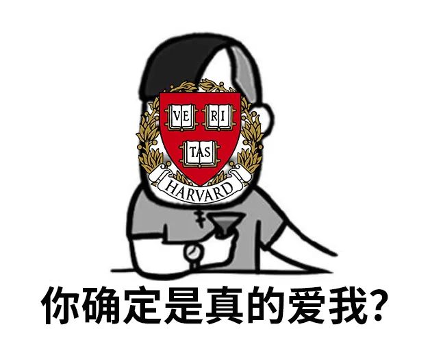 数学|能不能进「哈耶普斯麻」，其实从“高中选课”就决定了......