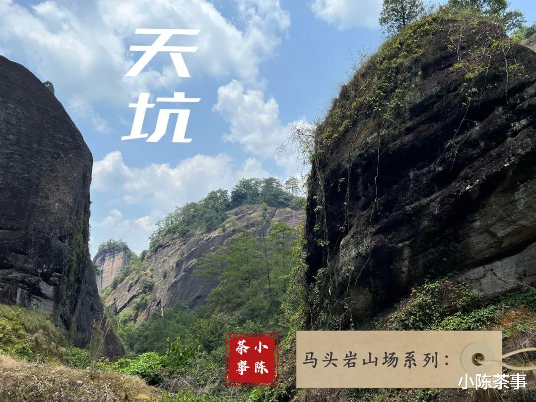邮轮|开山坪、猫儿石、桃树窠，马头岩的山场究竟有哪几个？这是个谜团