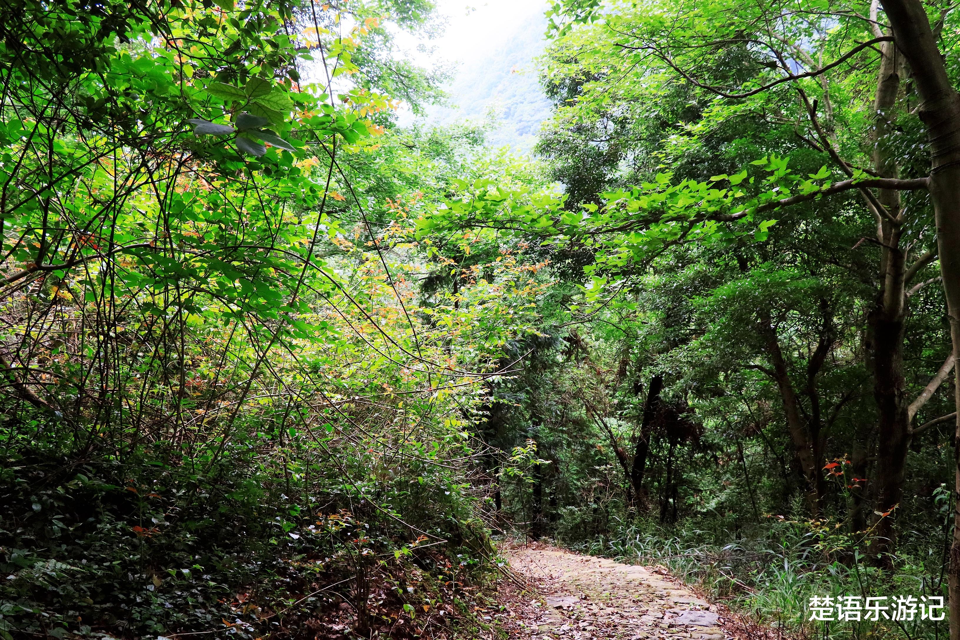 |浙江宁波居然有一个民族村，背山面海清溪流淌，两条古道险峻优美