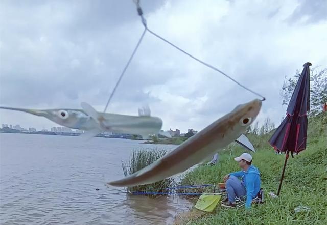 |男子东江野钓“双飞”,一条长嘴怪鱼引来钓友围观,有人认识吗?