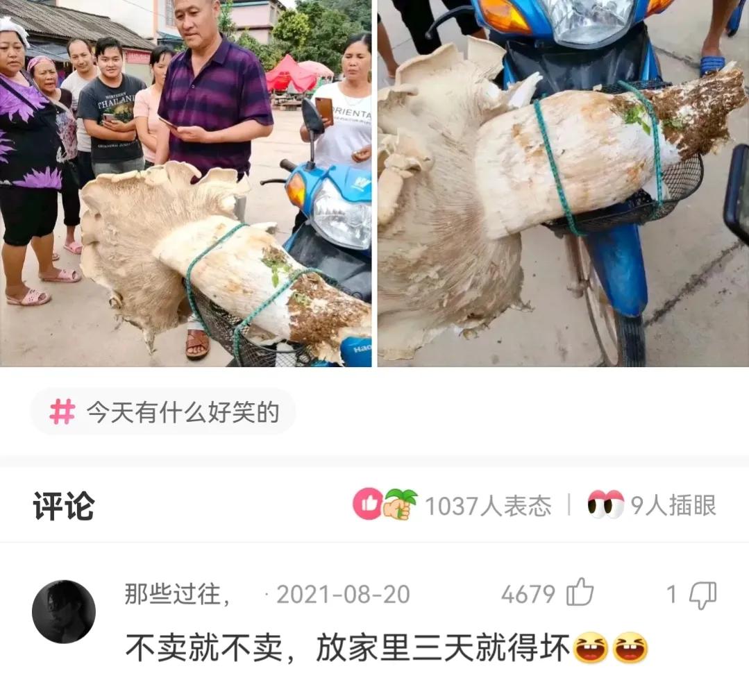 神回复,为什么很多人家的厕所都要贴这种瓷砖?