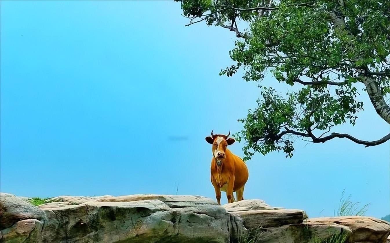 赛里木湖|山西吕梁·交口云梦山