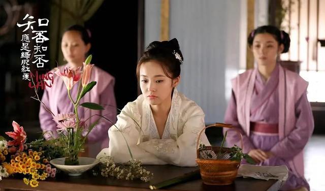 小秦氏|《知否》这四款主仆情义令人回味，不同主子决定着下人的不同命运