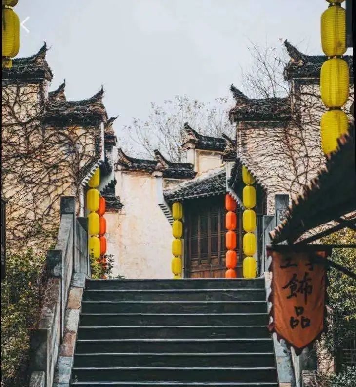 柿子|秋风起，秋色染，雾里乡村——坡山秋景美如画，皖南！