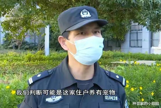 云南一男子被15楼落下的骨头砸头破血流,民警逐层找出“真凶”懵了!