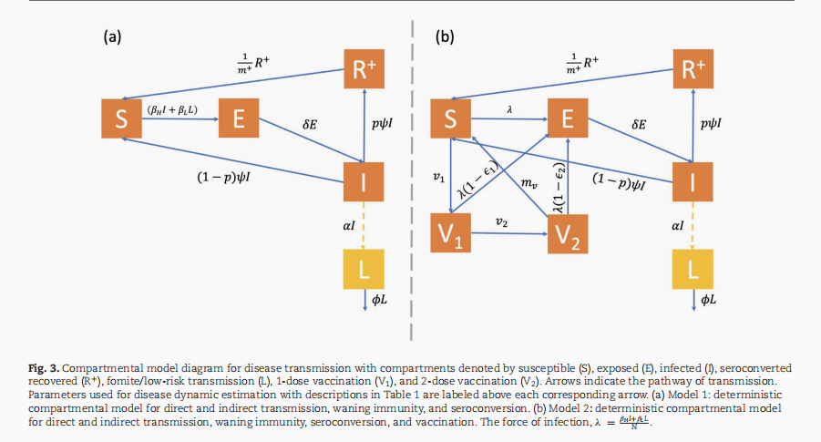 科学家最新预测,两年内新冠大流行将结束?影响结束的变数是什么