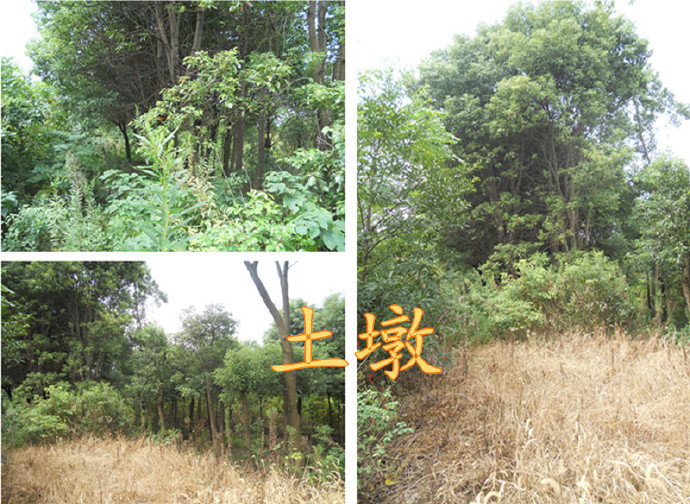 莫高窟|苏州唯一极似敦煌莫高窟的石室壁，震泽八景之一：康庄别墅遗址