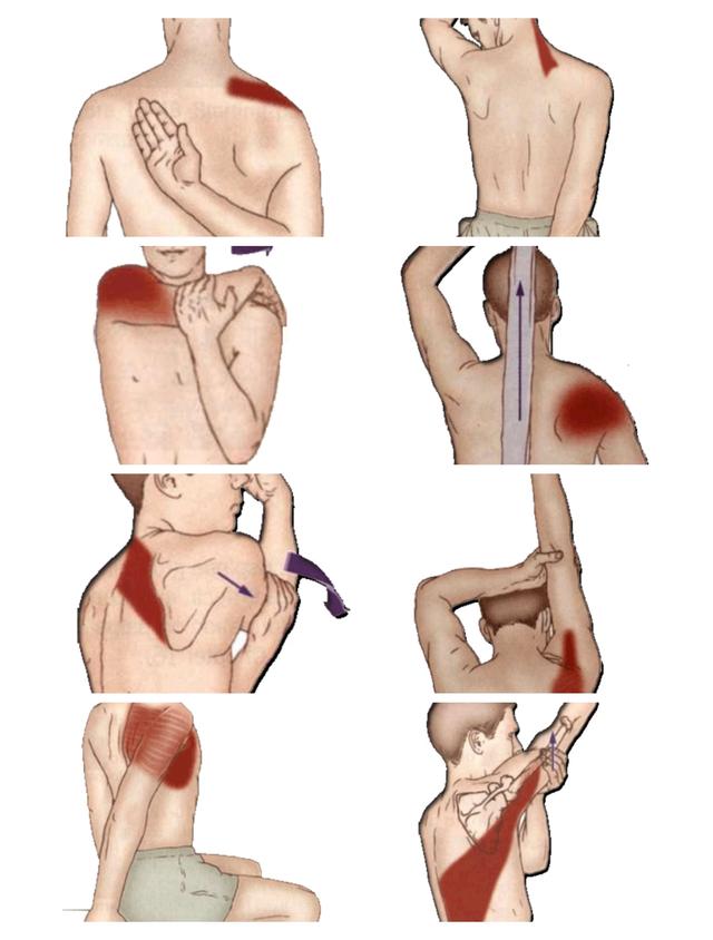按摩|肩膀痛如何才能有效缓解?