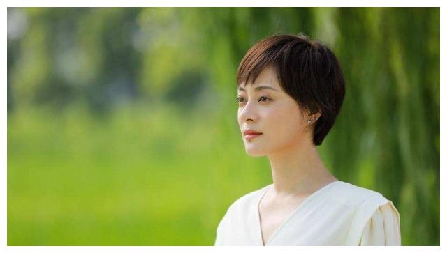 央视|央视晚会收视破2,韩红火力全开,李雪健眼神感人,孙俪温情破防