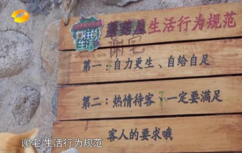 春晚|谢娜又上热搜被网友嫌弃？细说原因