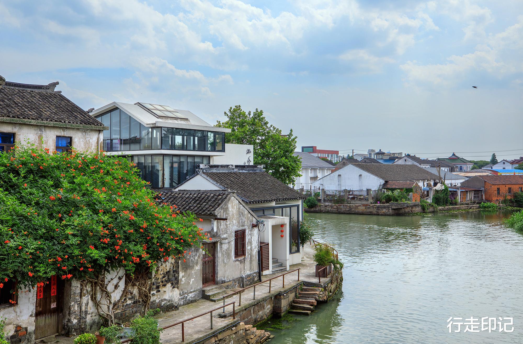|太平老街的这片花海,足以承包你的夏天