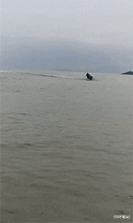 我想问一下，这靴子这么严实，捂一天什么味道？