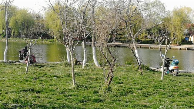 饵料|春季野钓五大秘笈，或能助你连竿过瘾