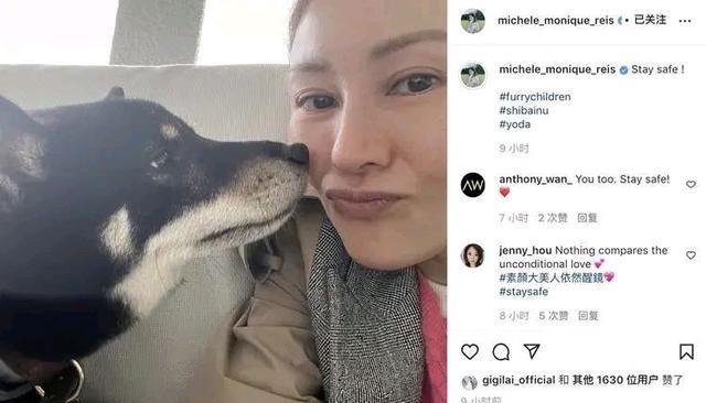 金城武|李嘉欣素颜一般般?金城武投诉空姐?林峯又许下承诺了?