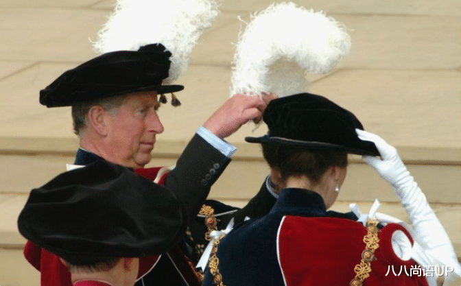 雍正王朝|查尔斯携带72岁妹妹现身，兄妹俩默契颁奖，二婚妻子卡米拉罕缺席