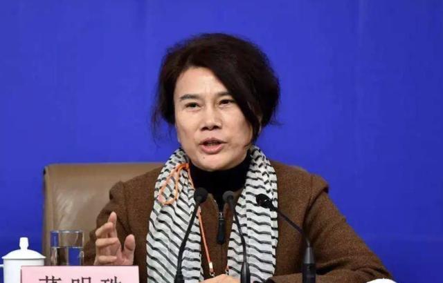 衬衫|孟羽童“高开低走”？被众嘲“土胖丑”，颠覆了董明珠接班人说法