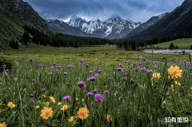 梯田|中国5月最美的地方，人少景美，等后续解封后一一去打卡吧！