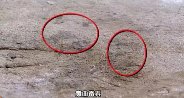 5个省心的生活小妙招,更是中国家庭省钱秘籍