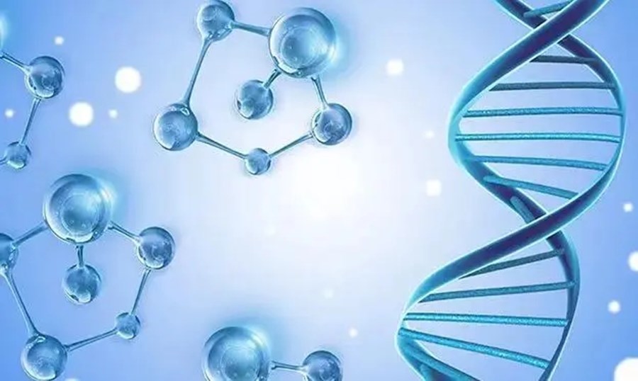 (原创)从基因模块到合成生物,创造“自然”的迷人和危险