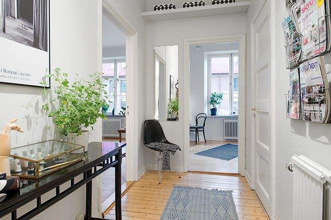 家里这两处记得摆放植物，相当于招财进宝，有钱人都会照做！