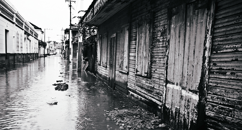 白癜风|香菇竟被医学界称为“抗癌圣品”,它是如何达到抗癌效果的?