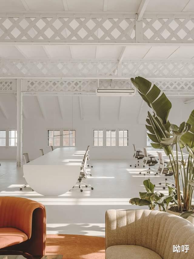 招聘|Isern Serra丨巴塞罗那moonlike办公室